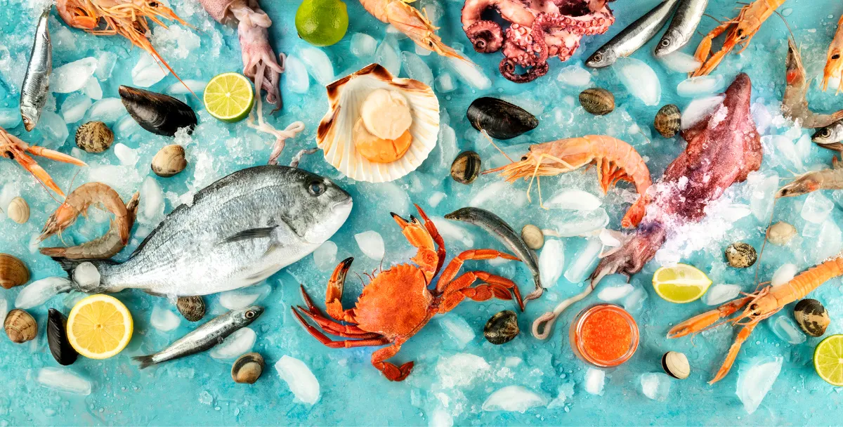 grupo-cervera-pescados-mariscos-2